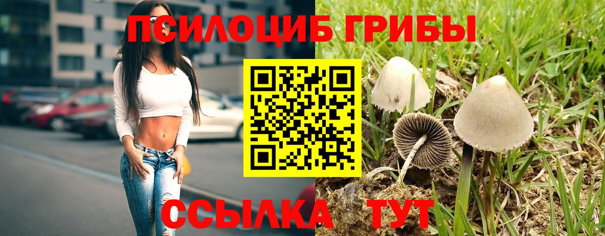 Галлюциногенные грибы прущие грибы  Вход с VPN  Тельмана 