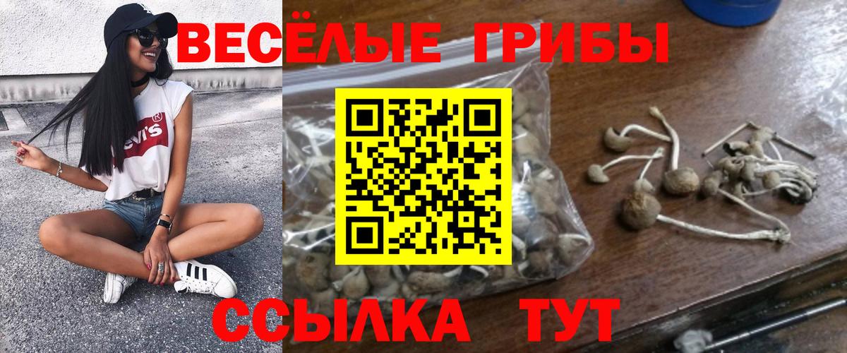 Галлюциногенные грибы мухоморы Тельмана